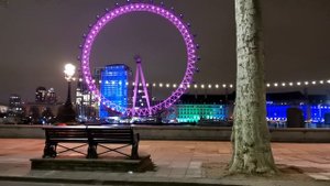 3624080-hd_1280_720_30fps