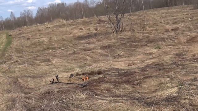Ищем господский дом, там ещё есть находки.