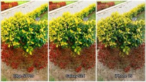 Motorola Edge 50 Pro Vs Galaxy S24 Vs iPhone 15 | Camera Test