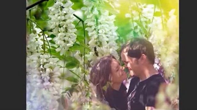 Верона Шумилова, В плену Любви..., муз. и исп. #СамуилФрумович смотреть онлайн