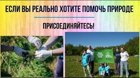 Современный стиль жизни. Волонтерство -  как путь  повышения уровня счастья в своей жизни.