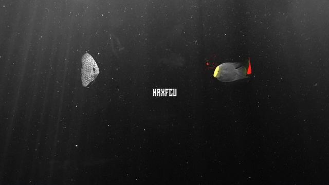 KRXFCU - POTOP 23` (PROD.KAVERR) смотреть онлайн