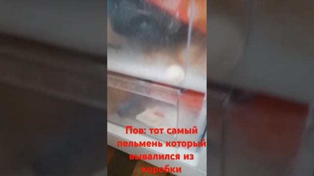 #пельмешка #одиночества