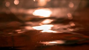 2930363-hd_1920_1080_15fps