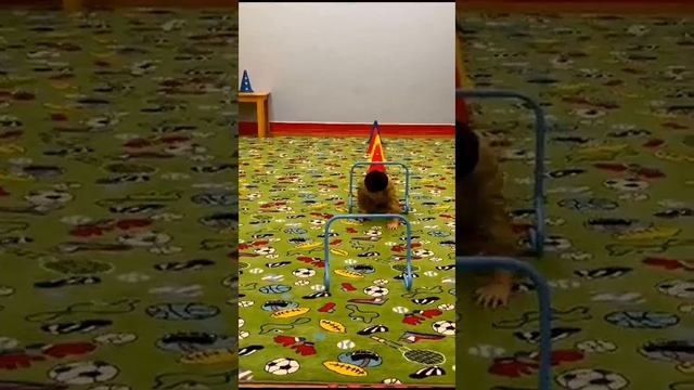 Игра для физического развития детей #Занятие_в_детском_саду