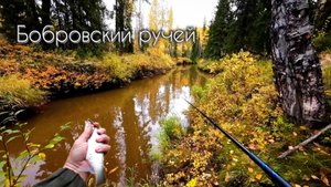 ТАЁЖНЫЙ РУЧЕЙ - МЕЧТА РЫБАКА ч.1 #чебак #мохтик #ручей #рыбалка