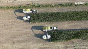 CLAAS In Campo 2021 - JAGUAR 990 X 2