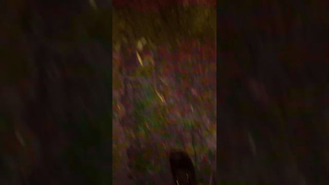 DAISY'S DESTRUCTION ES REAL Y NO DEBERÍAS VERLO JAMÁS смотреть онлайн