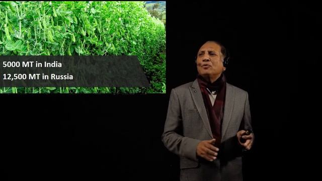 Peas Farm with United Farming | Special Offer Price Rs. 1,10,000 per Acre | Frozen peas