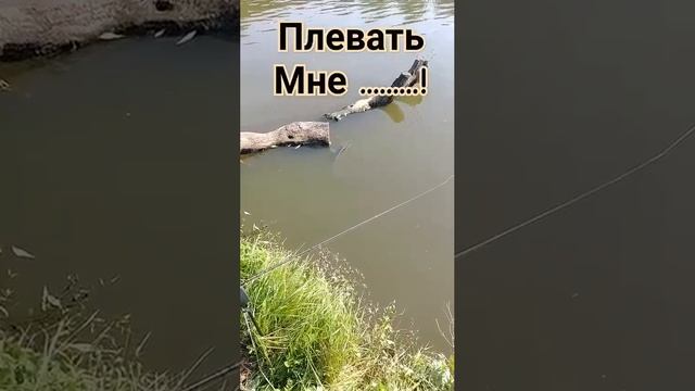 Наглости ему не занимать 😅