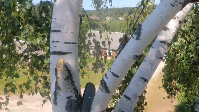 Арбористика‼️Удаление большой березы🌳по частям, в очень стесненных условиях рядом с домом🏠и ЛЭП смотреть онлайн