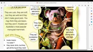 Spotlight 5, mod. 5d, Culture corner , KOALAS, стр.71