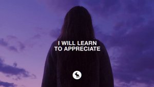 Hippie Sabotage - IMMUNE TO DANGER (Lyrics)