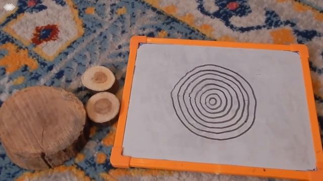 TREE ACTIVITIES FOR PRESCHOOL AND KINDERGARTEN | Homeschool Tree Unit Study смотреть онлайн