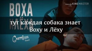 Караоке Сметана band - Воха и Лёха /плюс/ (ч.о. пж.)