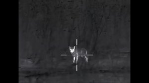 Охота на хищника с новым патроном Кентавр 4,0 г, HP