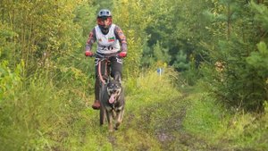 17-18 августа 2024 Толгур | Велосипед 1 собака, женщины. ОПЕН. 1 этап