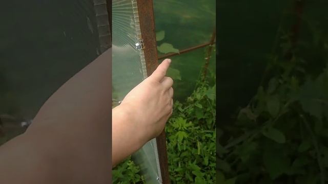 теплица своими руками и автополив смотреть онлайн