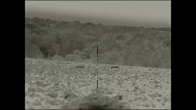 С вабой на волков. «Он верно спятил, коль поверил в волка простоту» смотреть онлайн