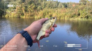Безупречный мормышинг. Так ты поймаешь любую рыбу