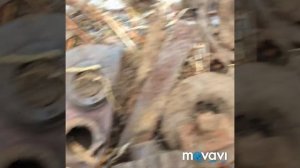 Коп металла зимой , все из за металлокопа