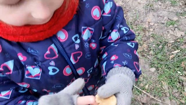 Природа. Знакомство с березой и ёлочкой. Соня на прогулке.