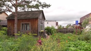 Дача 28 июля 2024 . Обзор