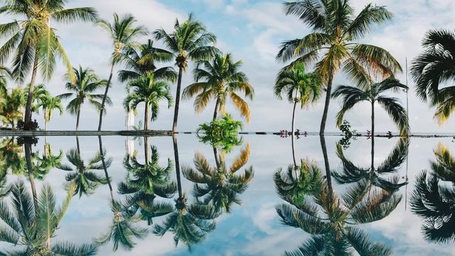 [Non Copyrighted Free Music | For Vlog] Erik Lund - One Day In Paradise смотреть онлайн