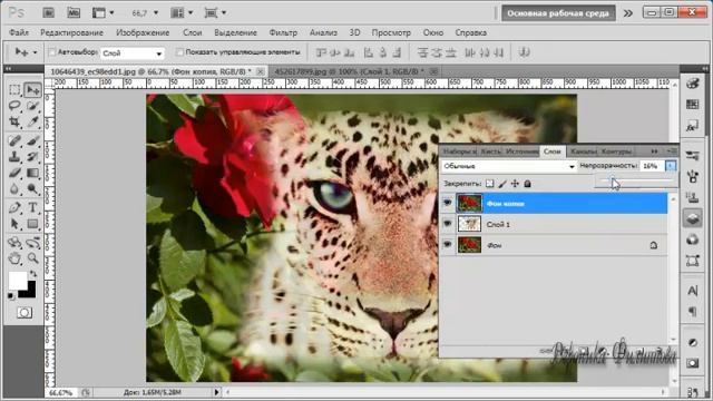 Лассо в программе Photoshop