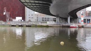 Xiaomi MI 11 CAMARA 4K 60FPS