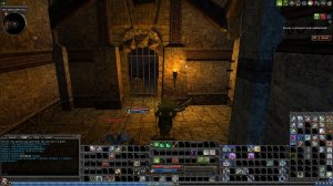 Dungeons & Dragons Online: Elite Solo - The Hobgoblin's Captives