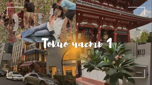 Токио, Япония  TeamLab Planets, отмена рейса China Eastern, Ibis Hotel Ginza, SkyTree Tokyo, Japan