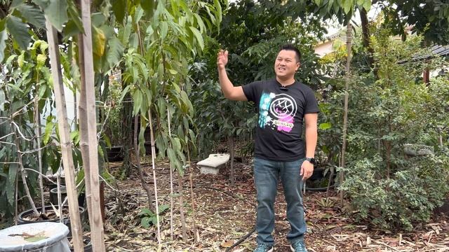 Water, Soil & pH for Tropical Fruit Trees