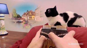 Unboxing 2023 Loop  38-Key Kalimba | Merry-Go-Round of Life / Howl's Moving Castle | Tabs