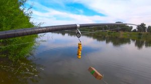 НЕ ОЖИДАЛ ЧТО СРАБОТАЕТ МОЙ САМЫЙ КРУПНЫЙ САЗАН