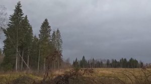***ШОК! УРАГАН В МОСКВЕ И ОБЛАСТИ (22.10.2021) - ОСЕННЯЯ ГРОЗА! (16+)***