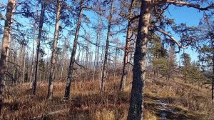 село тирлянский. садовая. Белорецкий район.