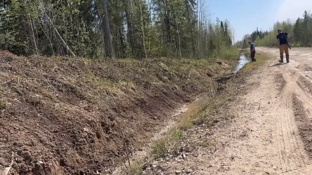 Охота на «весеннего» медведя смотреть онлайн