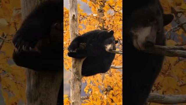 Все воскресенье завтра на работу 😜