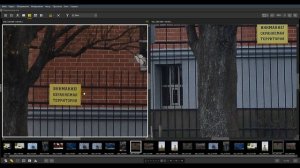 Шок! Nikon D3100 Лучше чем D800 для фотоохоты