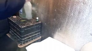 Какие Прививки мы делаем нашим курам несушкам. Вакцинация кур