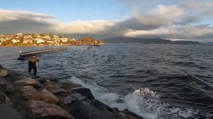 Осенние прелести ! ДОЛГОЖДАННАЯ РЫБАЛКА в Норвегии с берега.
