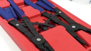 Съемник стопорных колец 2шт со сменными носами 16" TA-H1037