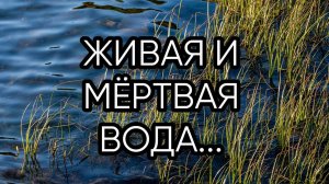 ЖИВАЯ  И МЁРТВАЯ ВОДА...
