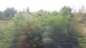 Черемисиново - 91-й километр