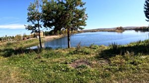 В поисках поворота 1