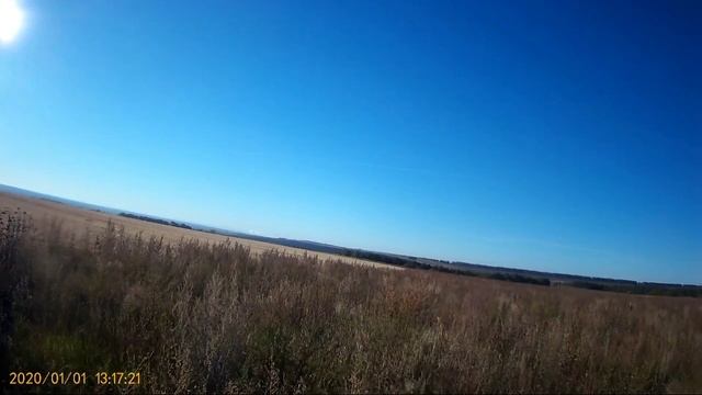 охота на Полевую Дичь смотреть онлайн