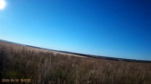 охота на Полевую Дичь