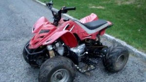 2008 Kazuma falcon 110cc quad walkaround