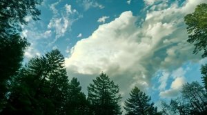 Добрые слова